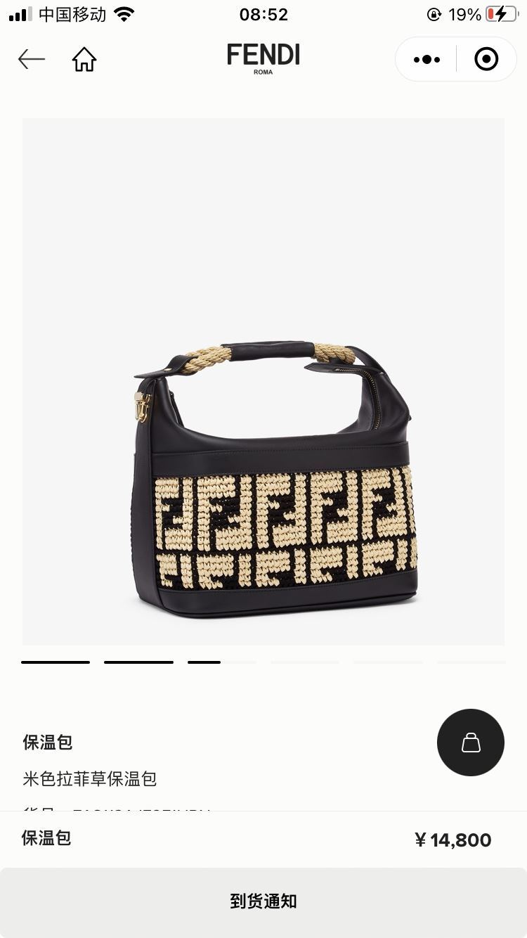 Fendi Top Handle Bags